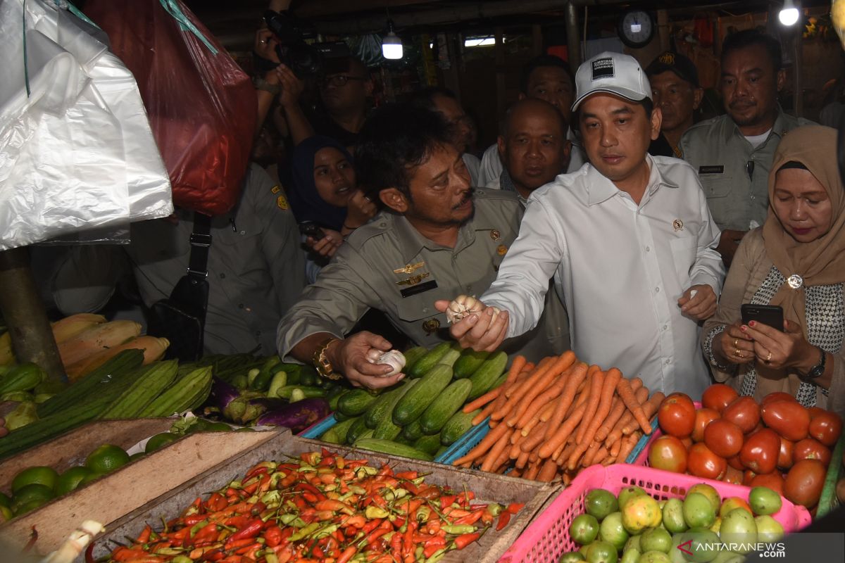 Mentan: Pasokan bawang putih cukup meski pemerintah hentikan impor