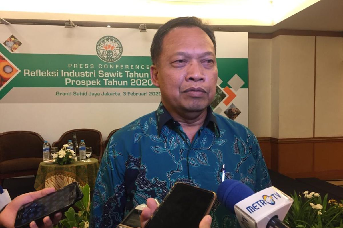 Produksi sawit 2020 diproyeksi berkurang dampak kekeringan