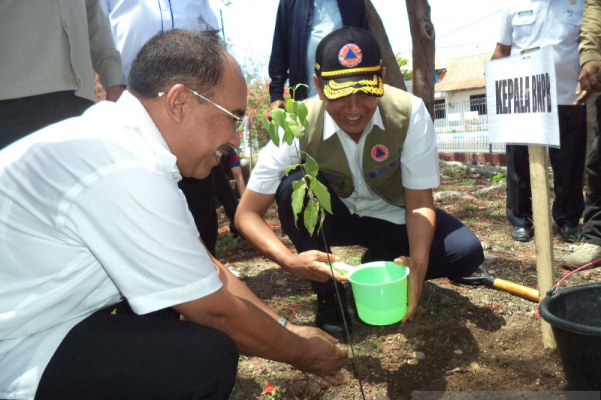 Menanti Kupang Hijau di bulan Februari dan Maret