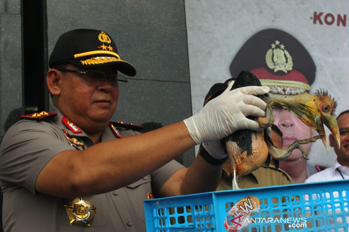 Polisi gagalkan jualan satwa dilindungi senilai Rp1,5 miliar