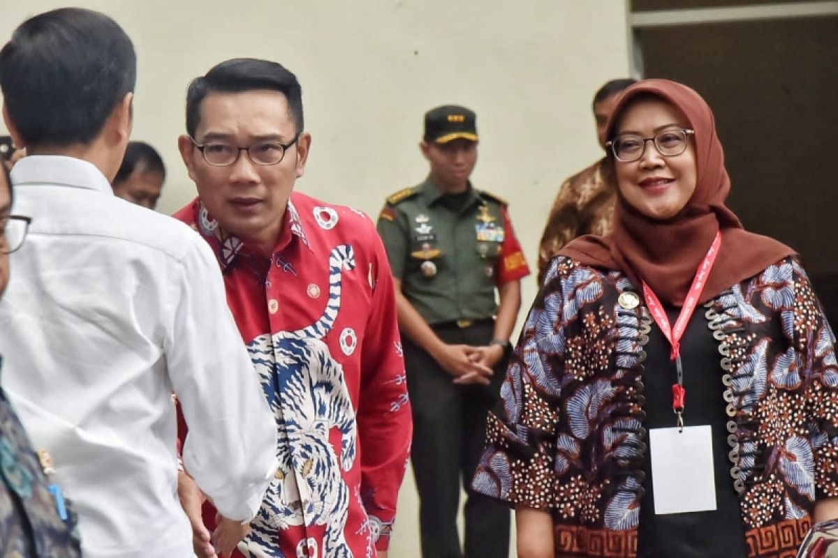 Gubernur: Jabar siap sinergi terkait arahan Presiden Rakornas PB 2020