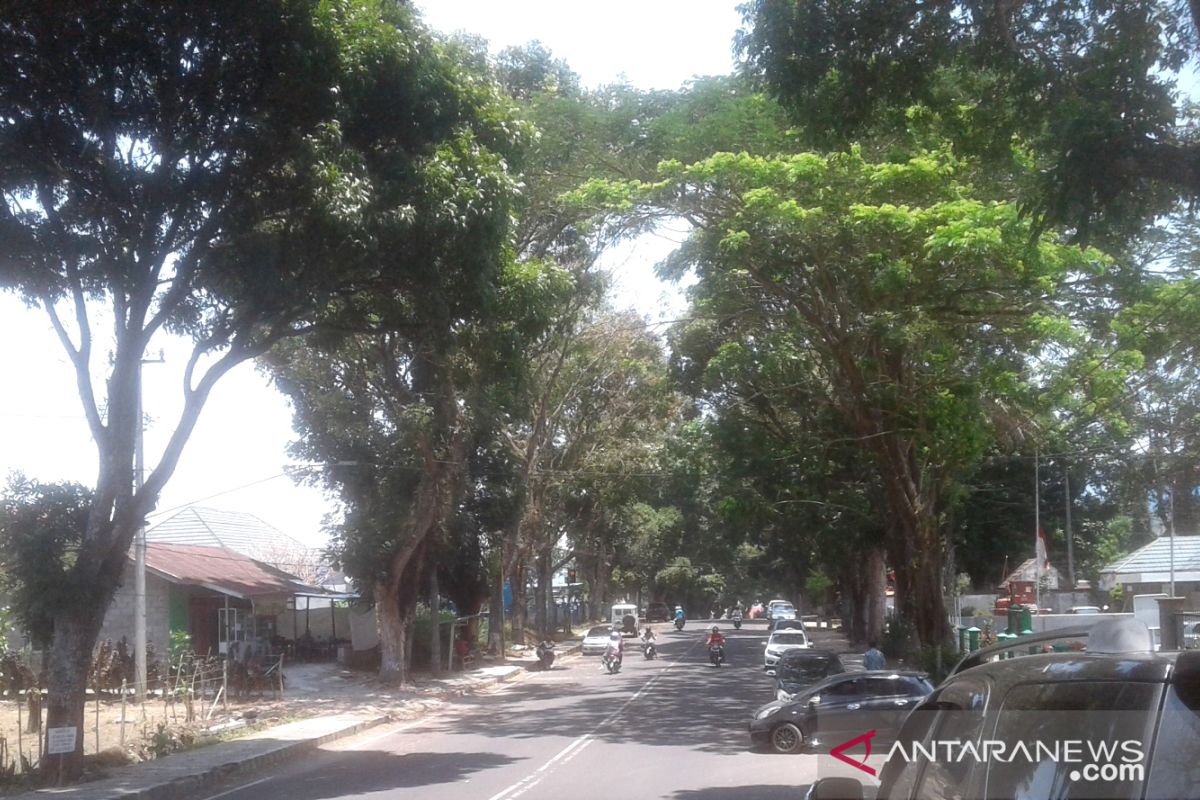 Warga Rejang Lebong diminta waspadai angin kencang