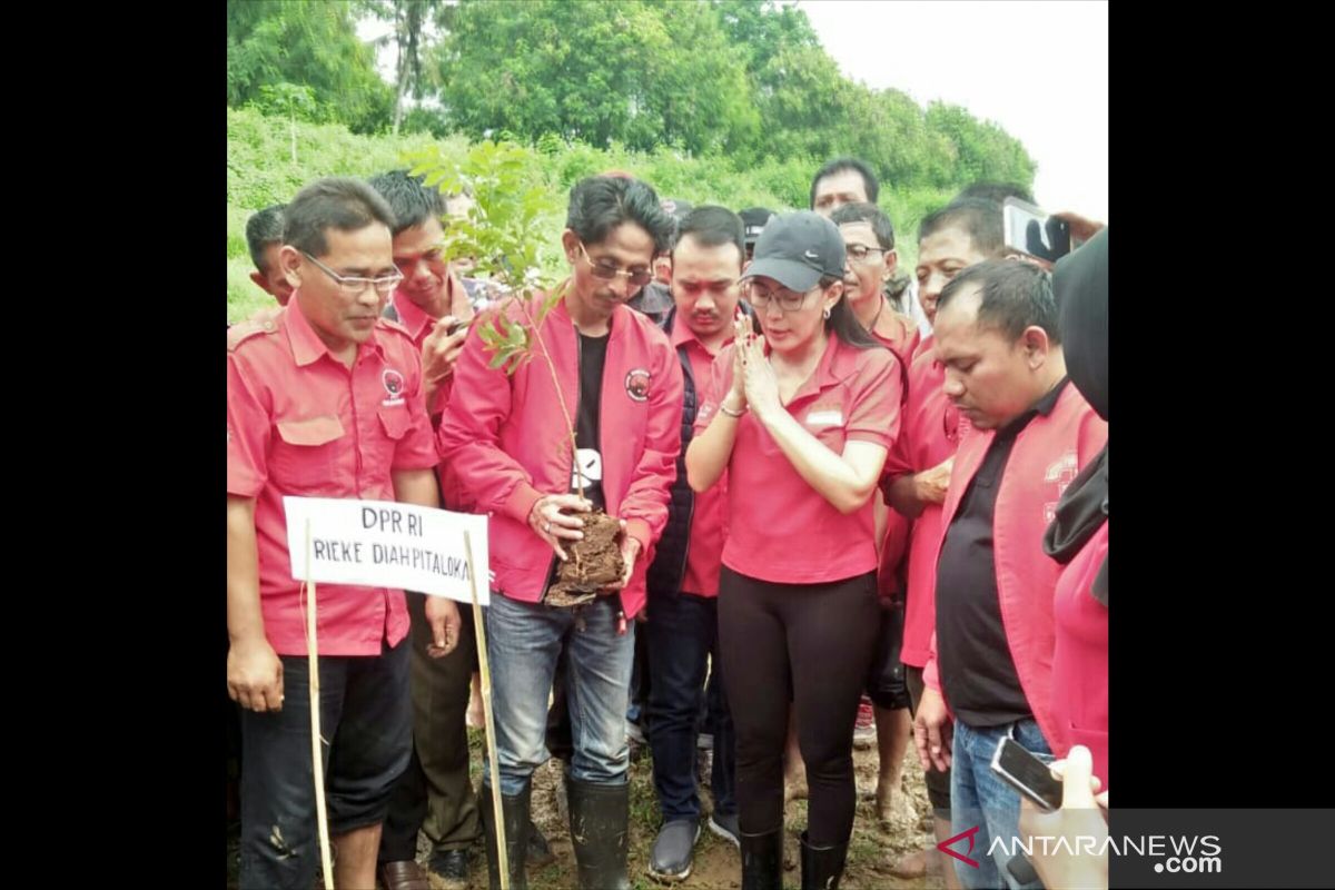 Rieke Diah Pitaloka desak Pemda jaga daerah aliran sungai