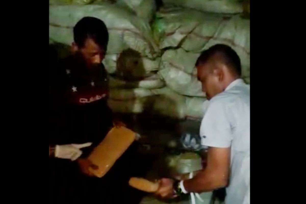 Ditangkap, lima kurir pembawa ganja 250 kilogram