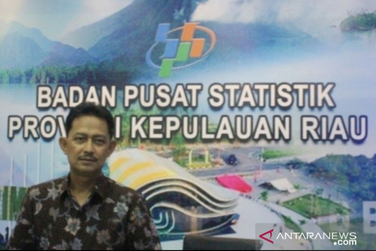 BPS catat pertumbuhan ekonomi Kepri 2019 sebesar 4,89 persen