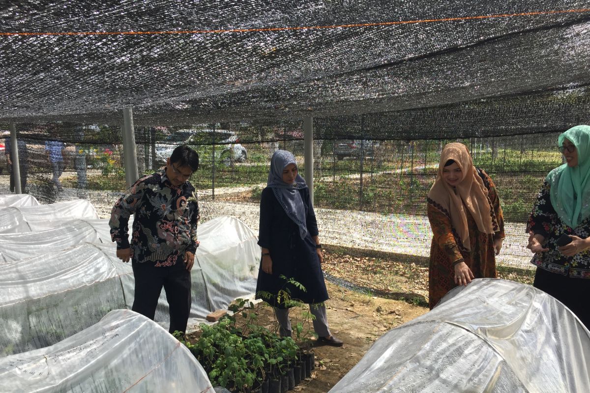 Pemerintah Aceh-Unsyiah berkolaborasi membangun desa wisata tanaman nilam