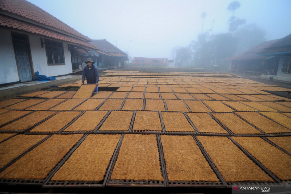 BKF tegaskan tidak ada diskon rokok dalam aturan pemerintah