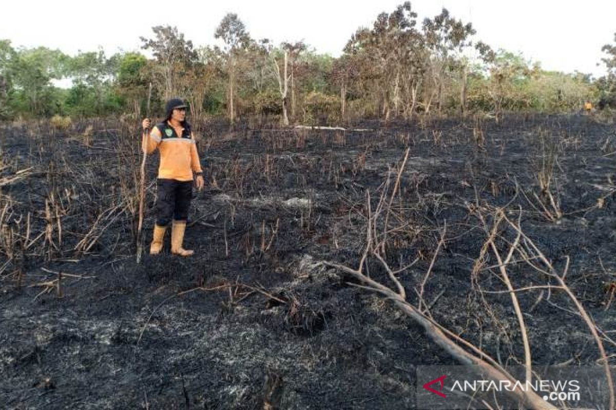 Kebakaran hutan dan lahan masih terjadi di Penajam Paser Utara