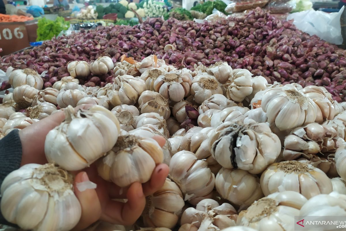 Pasokan dari China macet, harga bawang putih di pasaran melonjak