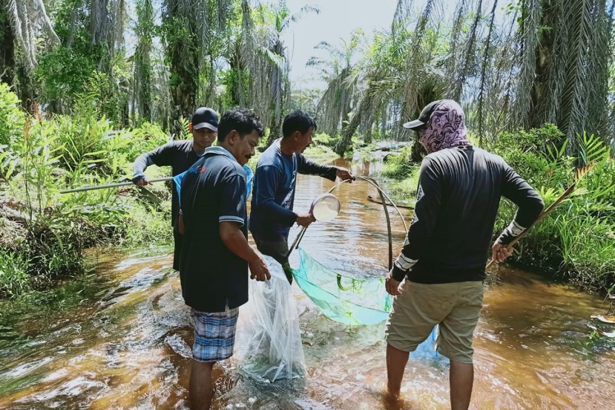 Mukomuko uji coba budi daya ikan mikih