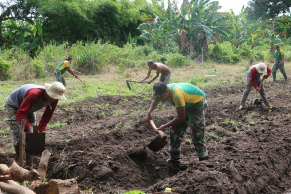 Prajurit TNI bantu warga buka lahan kebun di Sota Merauke