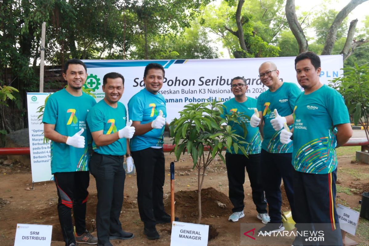 PLN UIW Sumbar semarakkan bulan K3 dengan gerakan menanam pohon