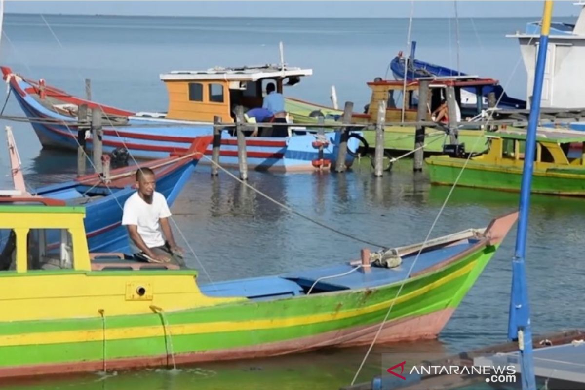 Natuna ekspor 12,5 ton ikan segar ke Singapura dan Malaysia