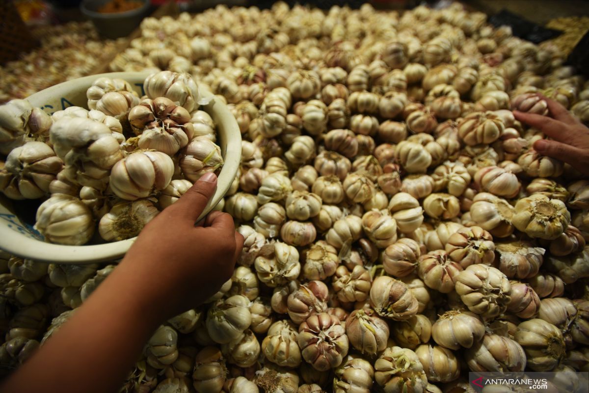 Stok terbatas, harga bawang putih di Bandarlampung terus naik