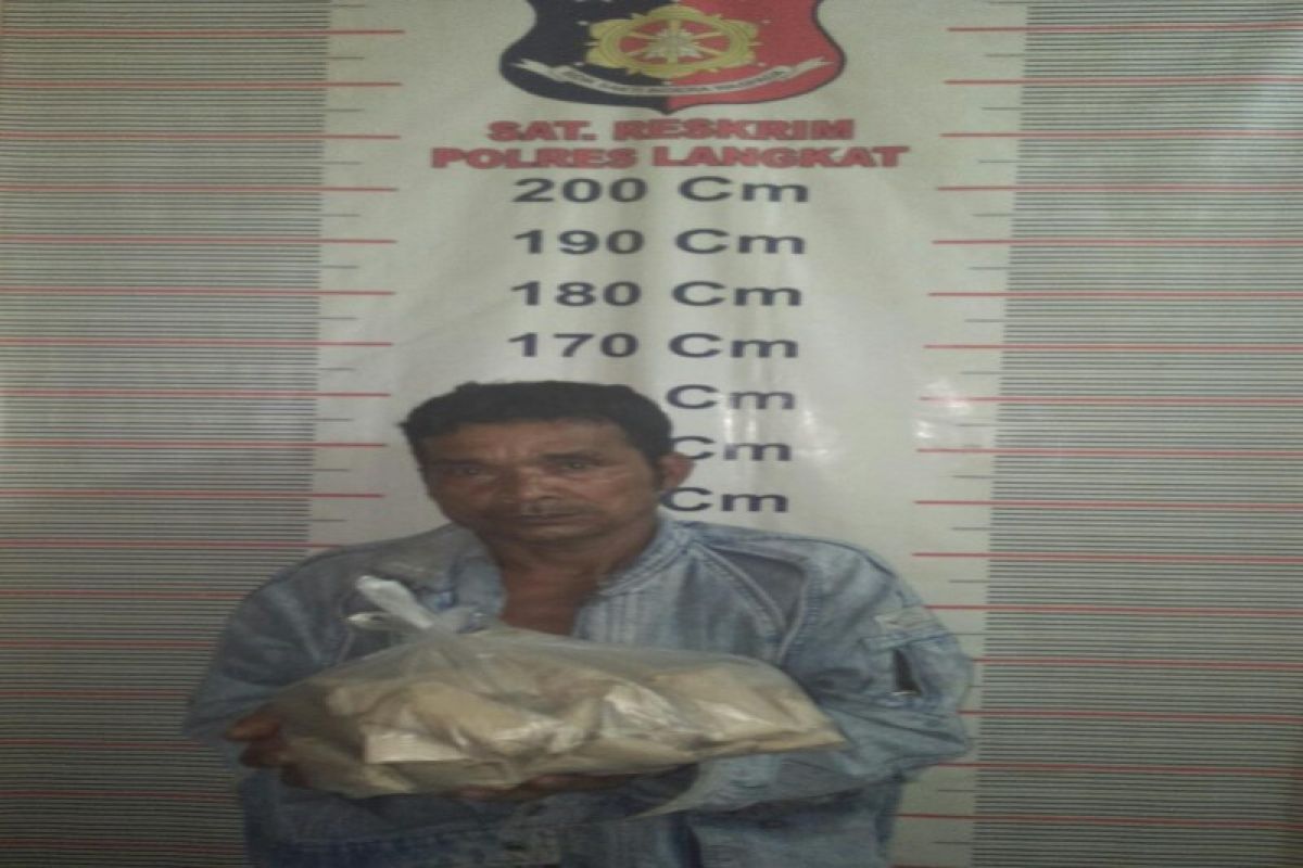 Miliki 500 gram ganja, Wak Ron ditangkap Polisi Salapian Langkat