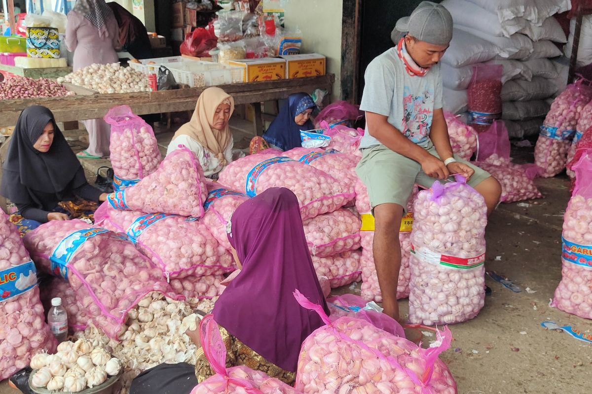 Harga bawang putih di Bandarlampung naik