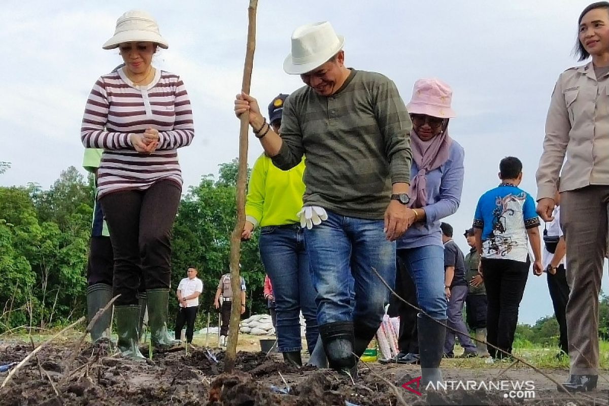 Pengembangan jagung di 15 desa dukung swasembada pangan Barito Timur