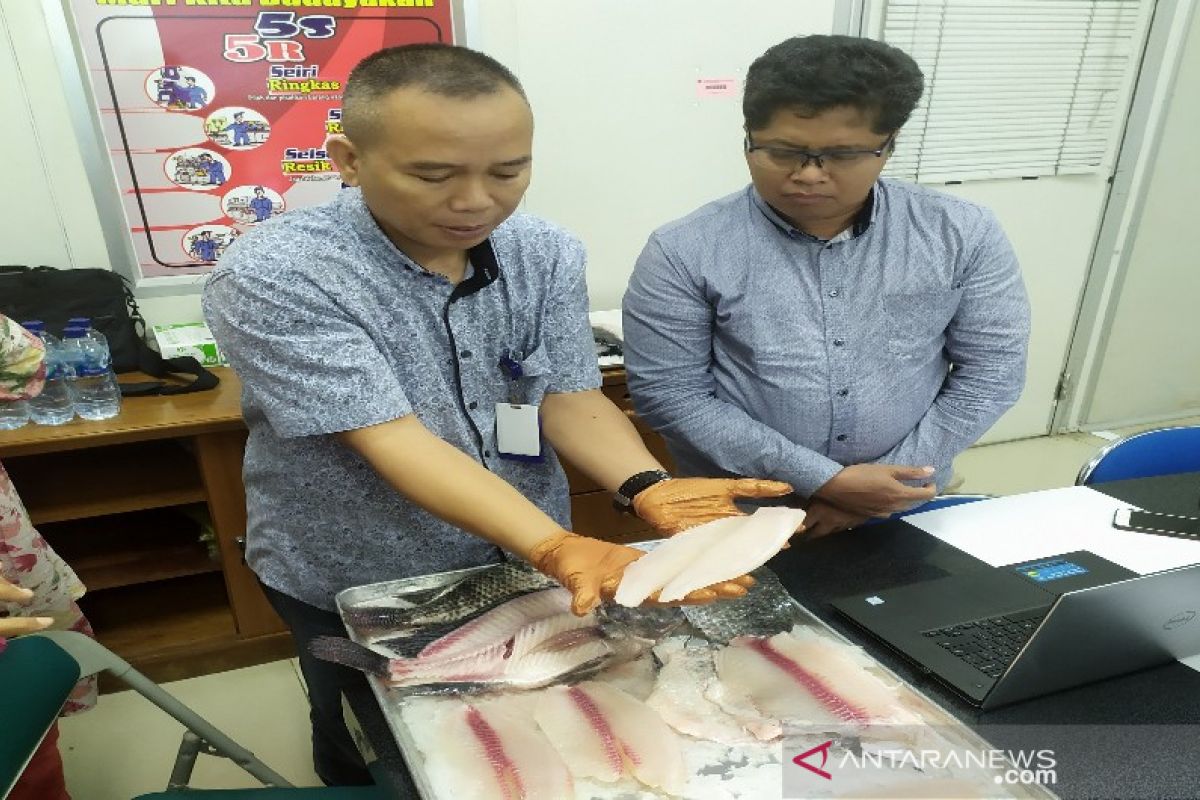 RSI pastikan  ikan nila diolah dengan standar mutu