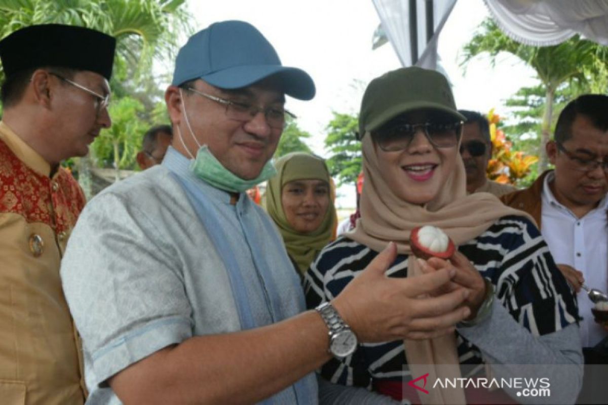 Gubernur Erzaldi berharap manggis Belitung go Internasional