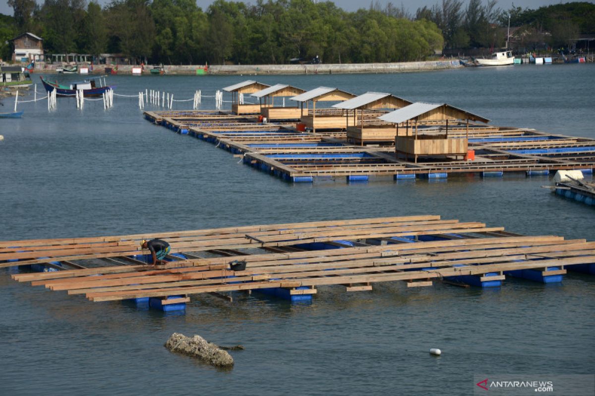 KKP berkomitmen bangun sistem logistik perbenihan kelautan perikanan