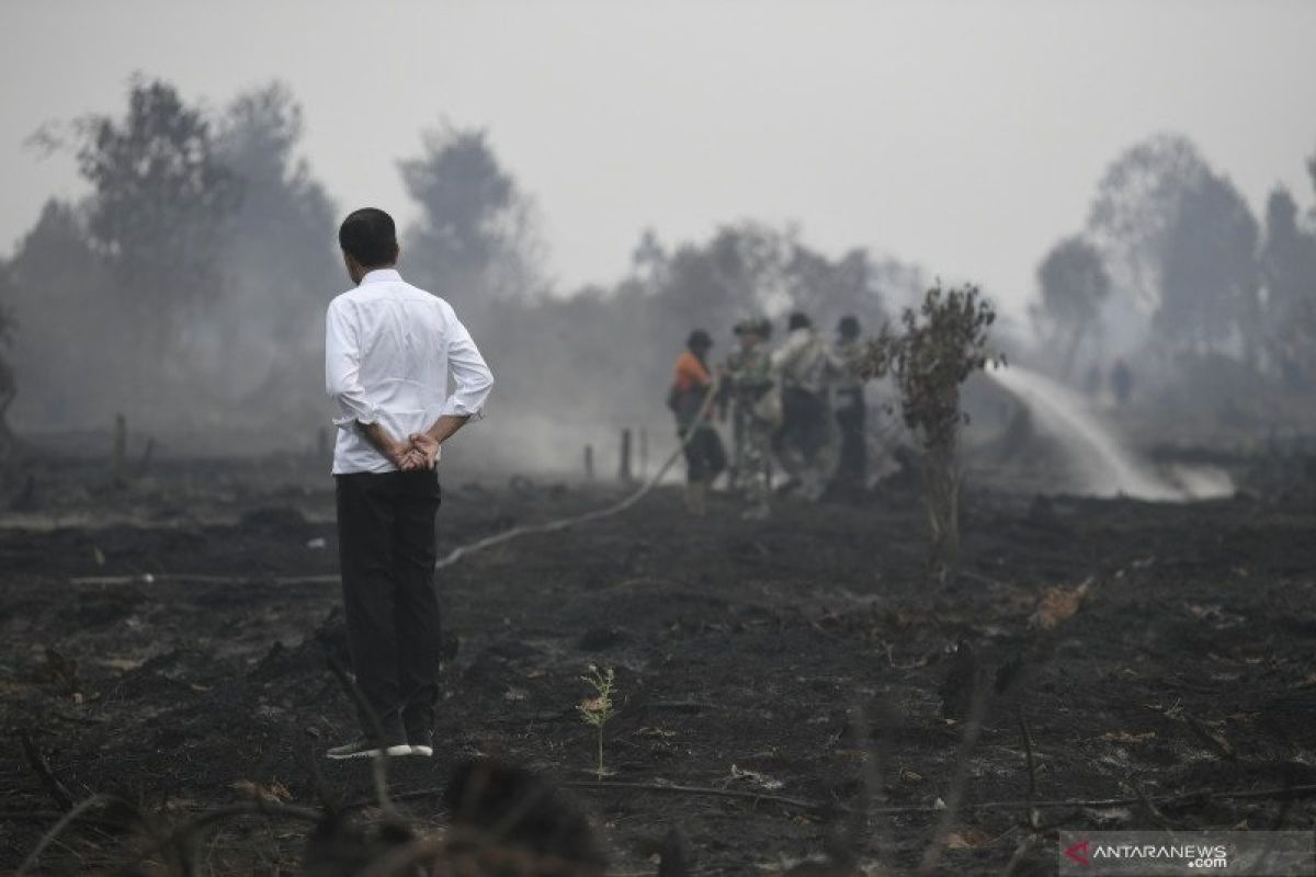 Presiden Joko Widodo khawatir pergantian pejabat akan pengaruhi penanganan karhutla