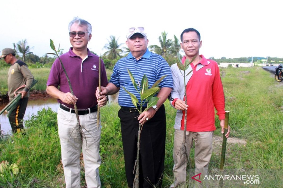 Pemkab Tanjab Barat gandeng Petrochina tanam mangrove