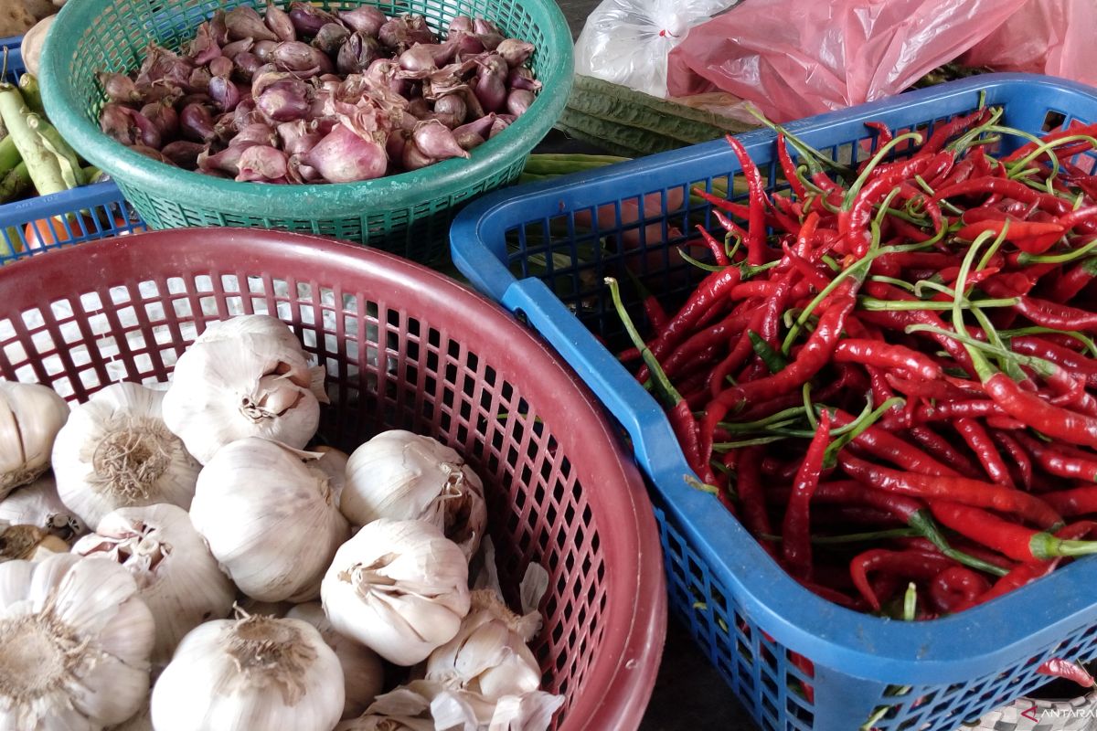 Virus corona sebabkan harga bawang putih Pekanbaru melejit Rp50.000