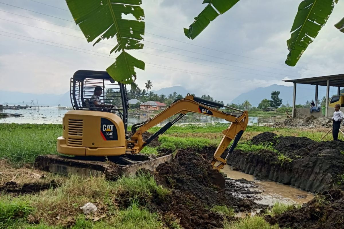 Usai dikeluarkan, berikut cara pemusnahan 10 ton bangkai ikan di Danau Maninjau (Video)