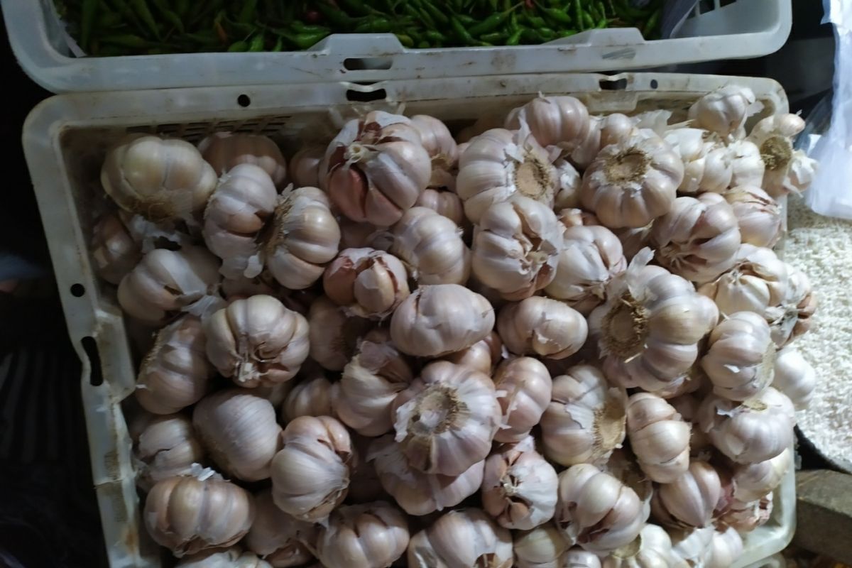 Harga bawang putih di Dharmasraya naik 100 persen, ini harga terbaru