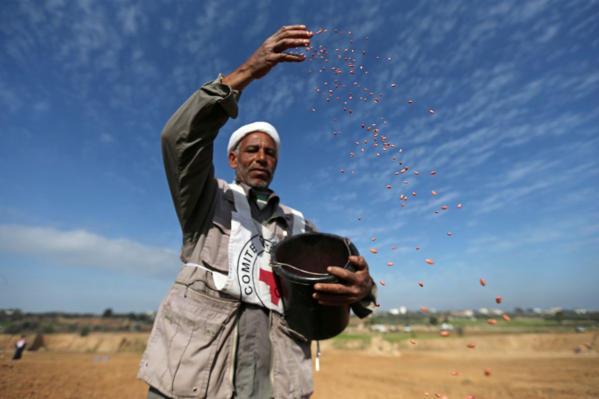 Israel tutup perlintasan Gaza setelah Palestina kirim balon pembakar