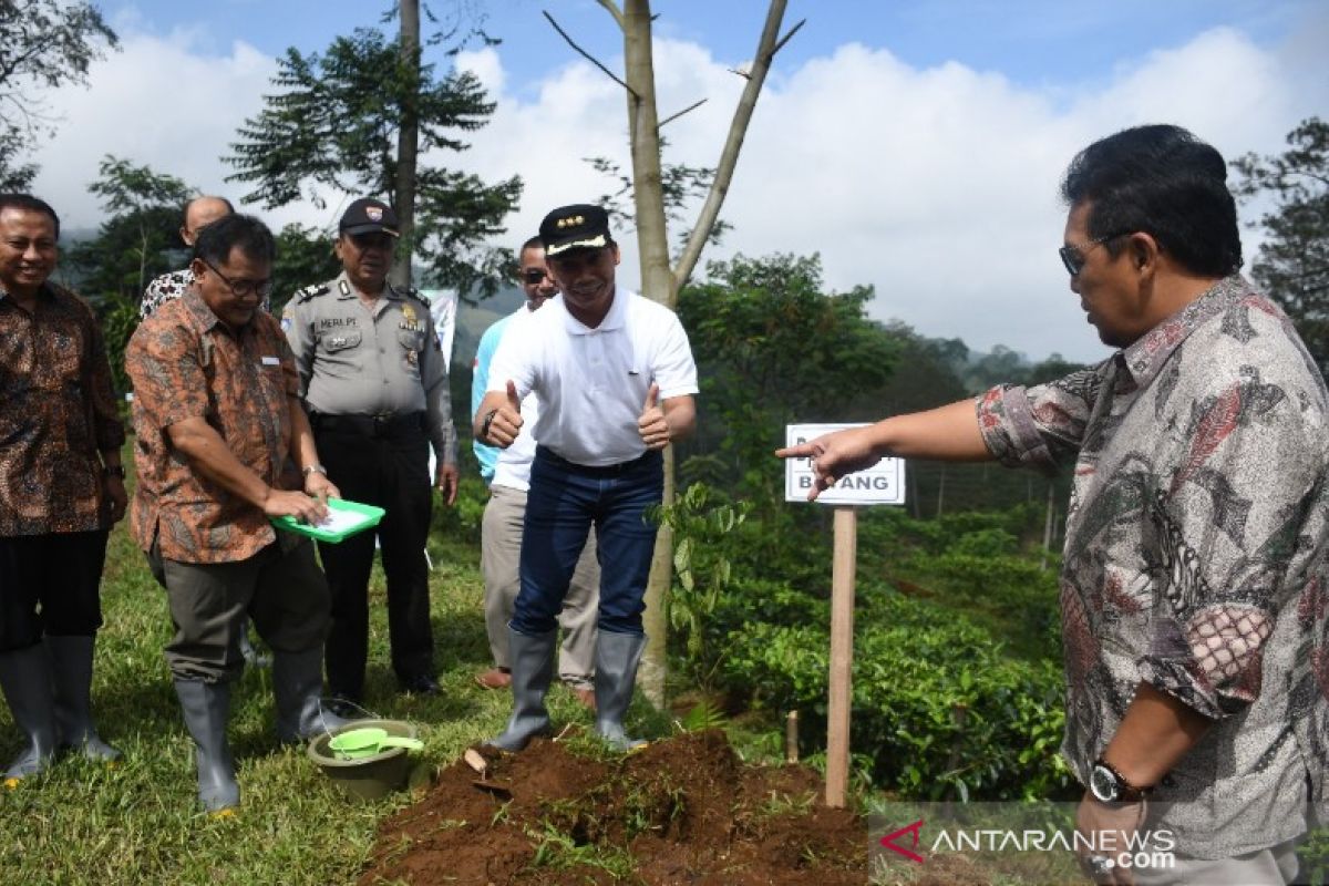 Pemkab Batang canangkan agrowisata Pagilaran jadi ikon wisata