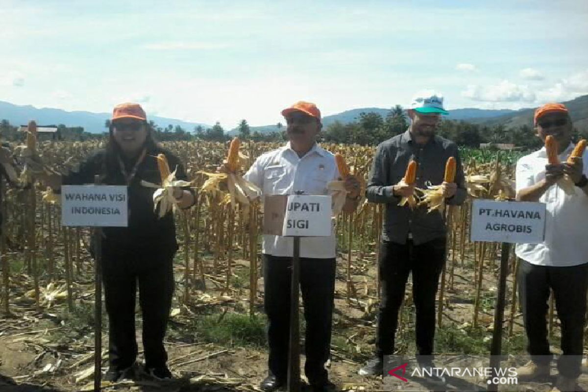 Pemkab Sigi apresiasi lembaga pendamping petani jagung