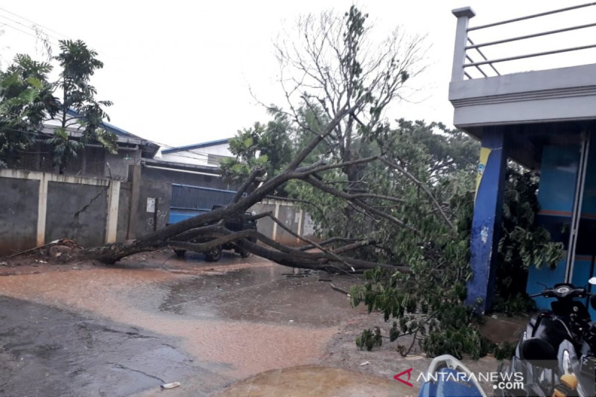 Hujan angin kencang, rumah rusak dan pohon tumbang di Bandung