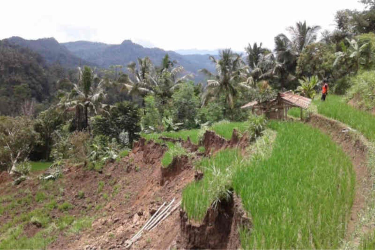 2,5 hektare sawah di Kuningan longsor karena hujan lebat