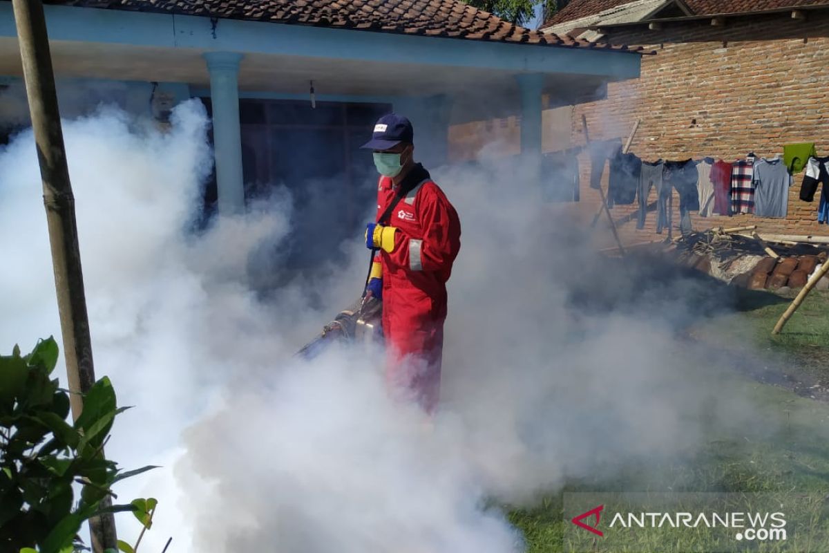 Klinik  Pratama PMI Jember lakukan fogging di daerah positif DBD