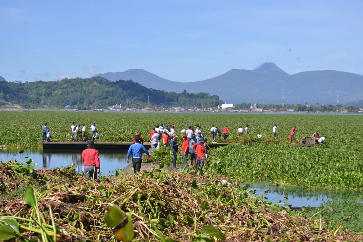 Lantamal VIII bersama masyarakat bersih-bersih eceng gondok Danau Tondano