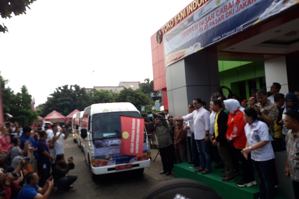 Pemerintah stabilkan harga bawang putih dan cabai di Wilayah Jakarta