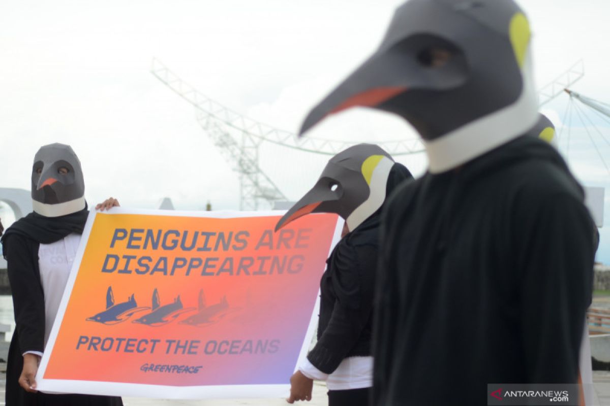 Dampak perubahan iklim, jumlah pinguin tali dagu turun tajam