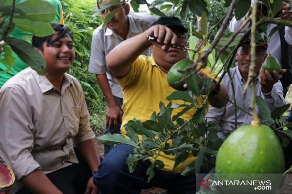 Bupati Sukabumi imbau petani bercocok tanam gunakan model demplot
