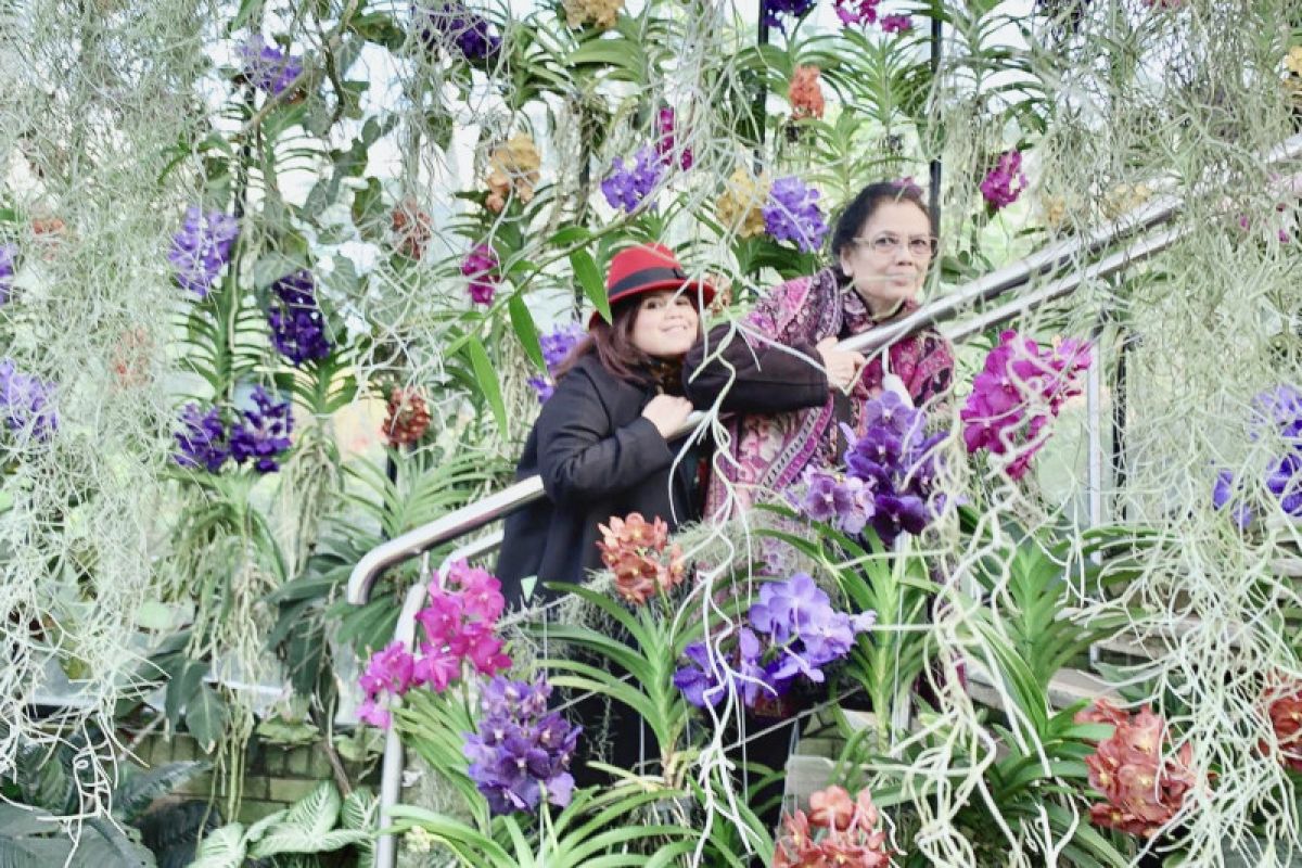 Pengunjung Kew Gardens  kagumi anggrek Indonesia
