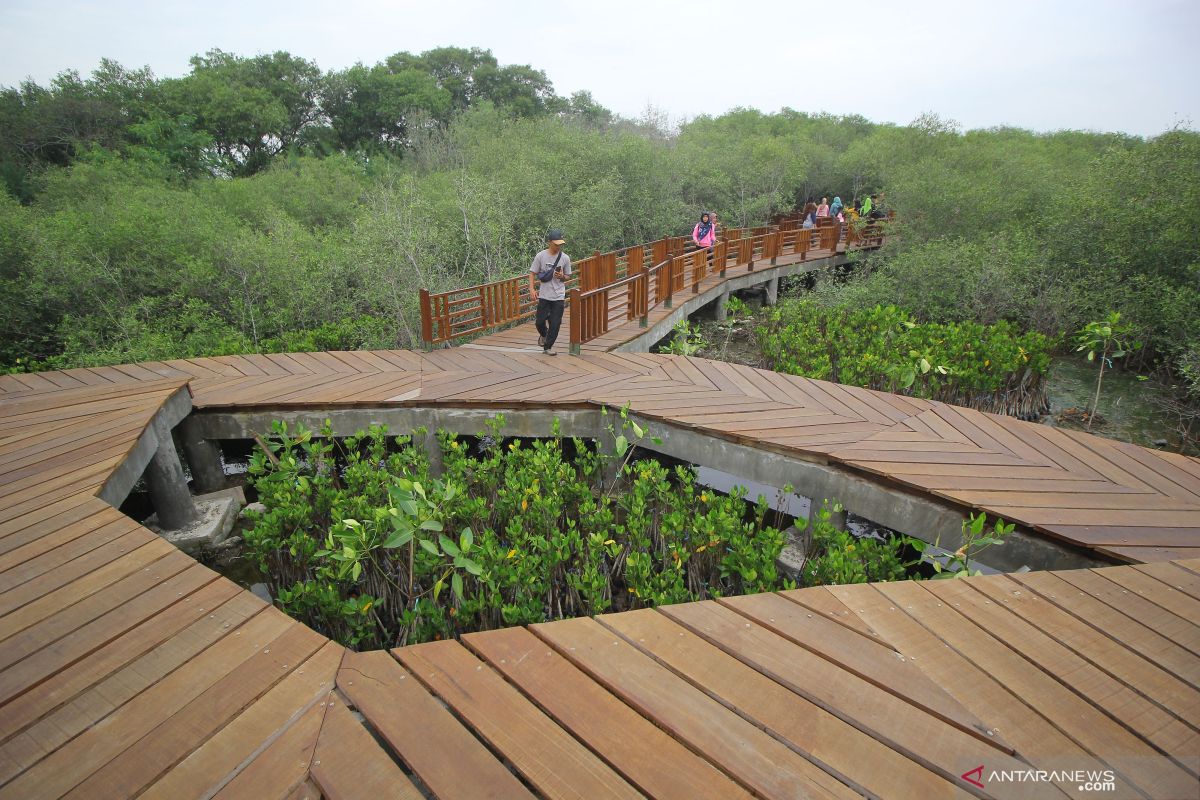 Ekowisata mangrove Gunung Anyar