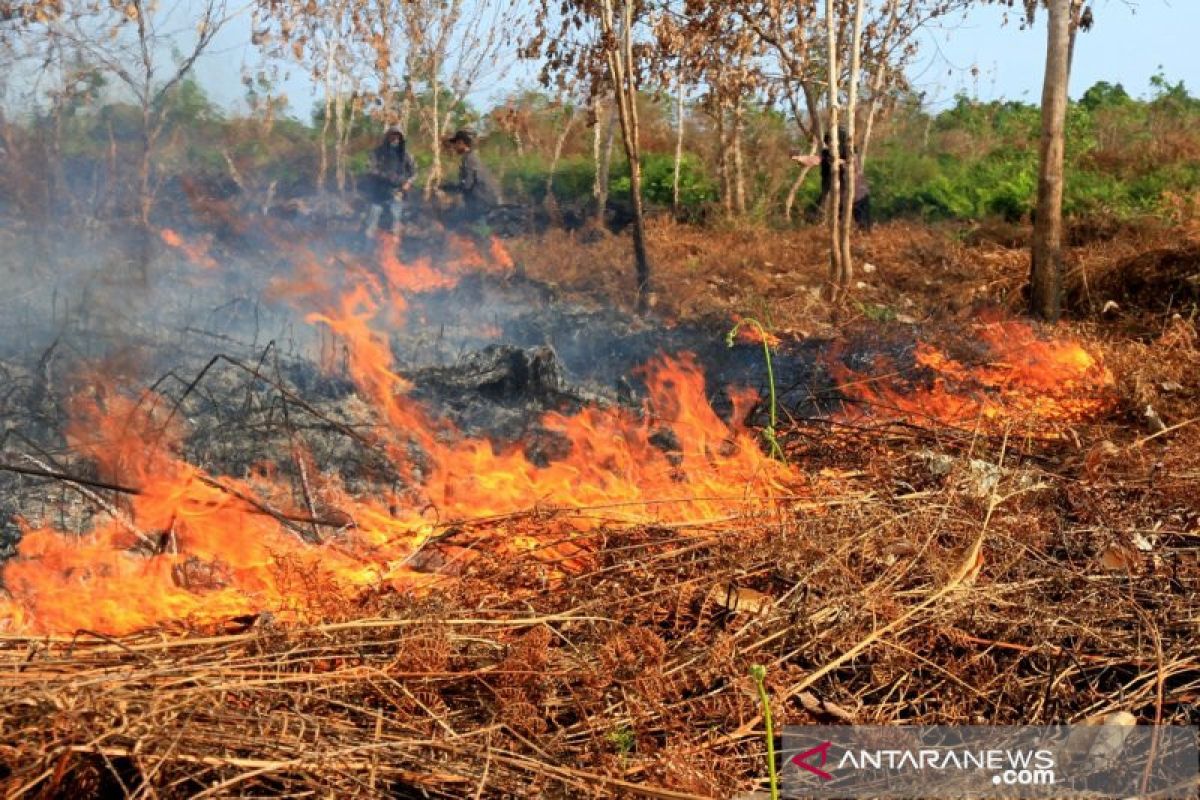 BMKG confirms detection of 24 hotspots of wildfires in Aceh