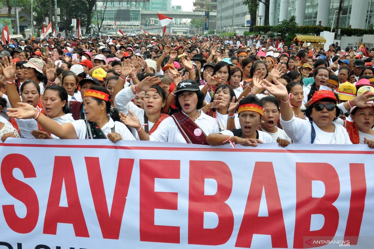 Aksi massa yang bertajuk Gerakan #Savebabi unjuk rasa di DPRD Sumut