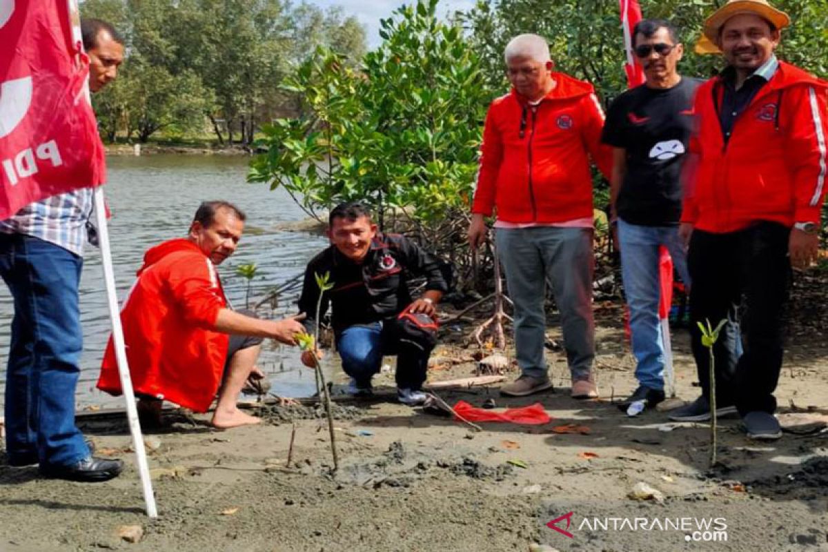 Kader PDI-P Aceh tanam mangrove jelang Rakerda