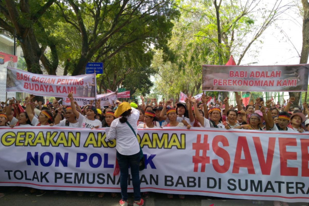 Ribuan orang tergabung dalam "Save Babi" unjuk rasa di DPRD Sumut