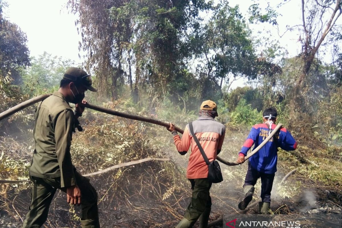 Riau tetapkan status siaga darurat Karhutla hingga Oktober 2020