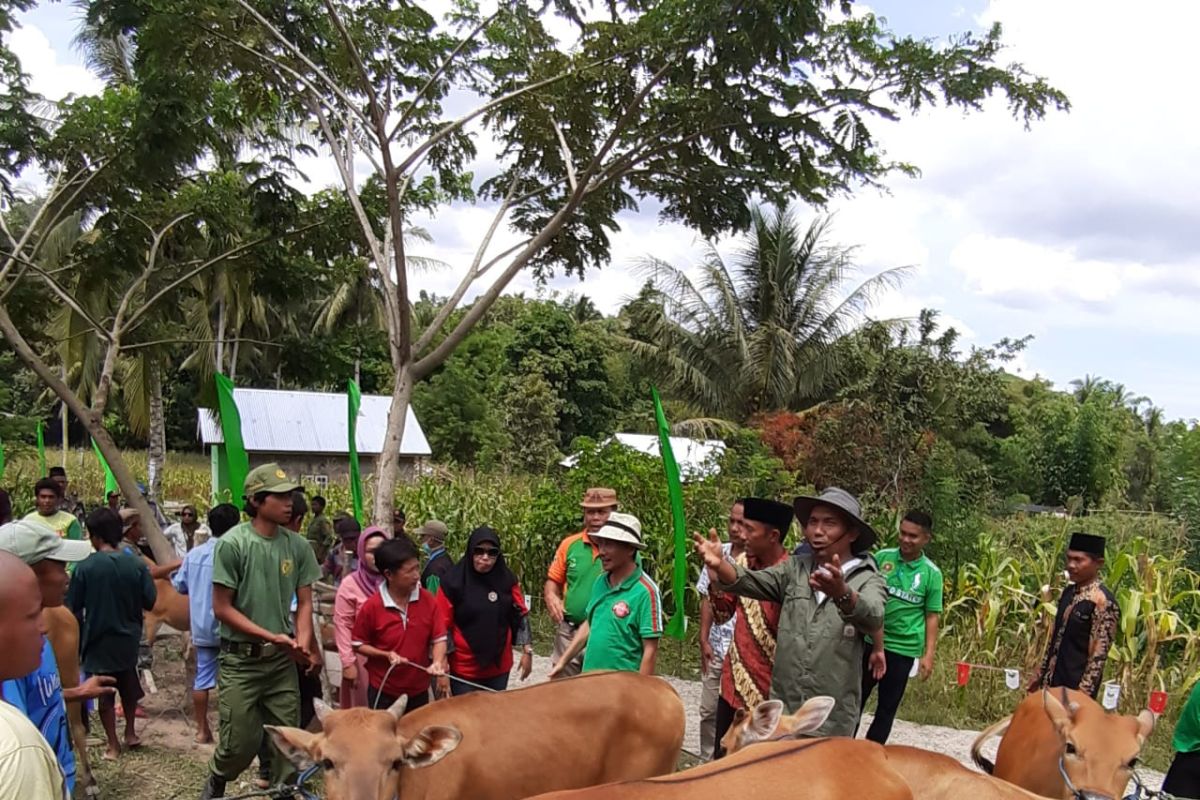 Bupati Gorontalo sebut Bongomeme berpotensi jadi pusat ternak sapi