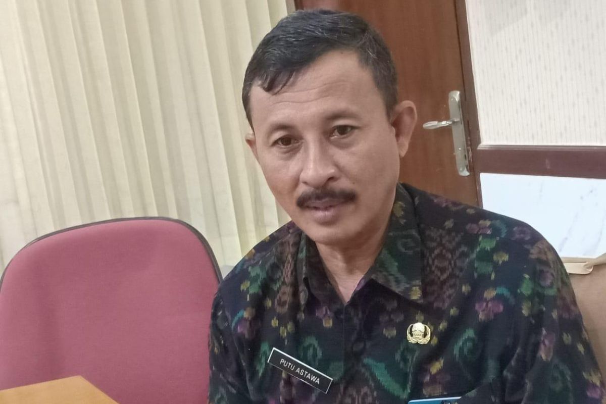 Pemprov Bali gencarkan bidik kunjungan wisman di luar China