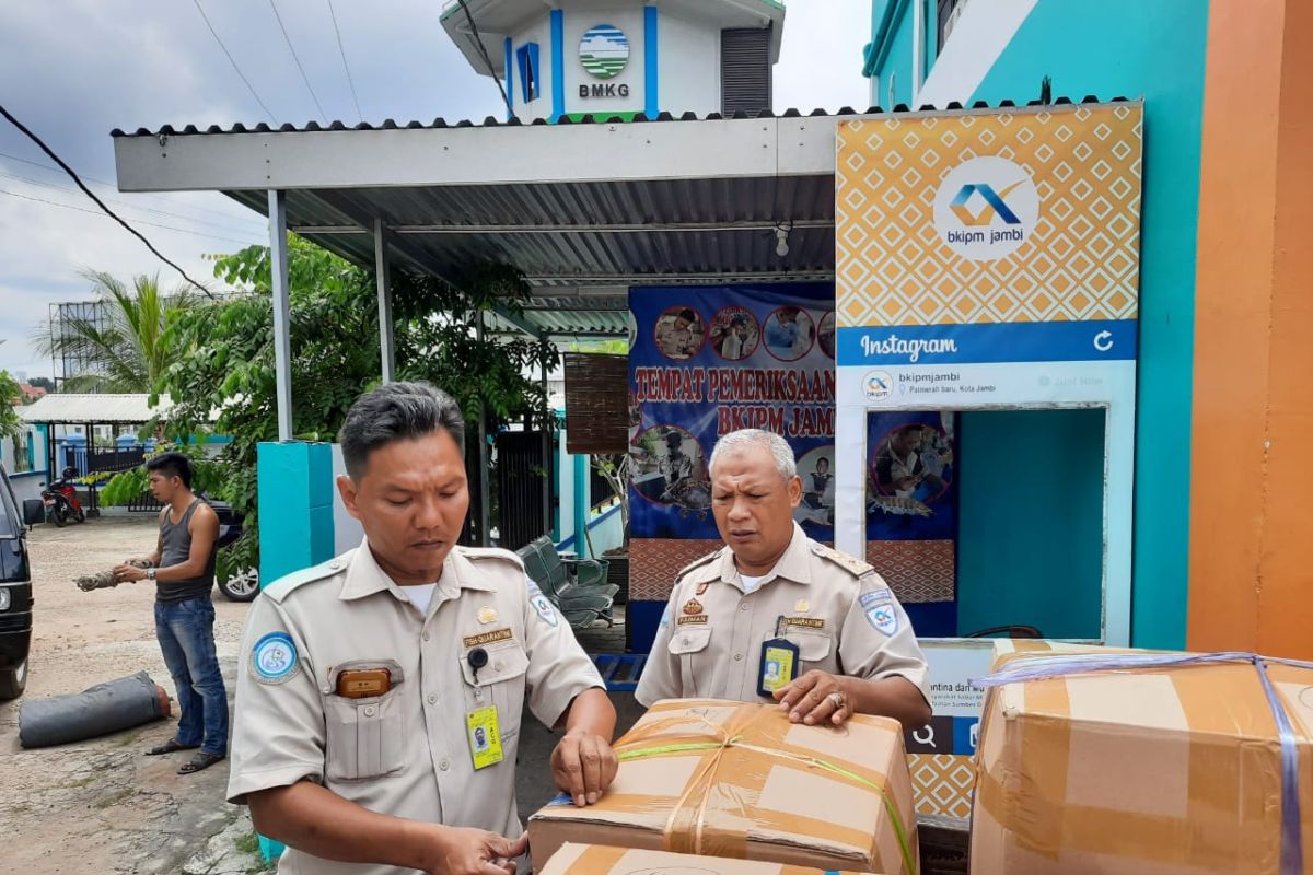 Pengiriman udang belalang  Jambi turun signifikan