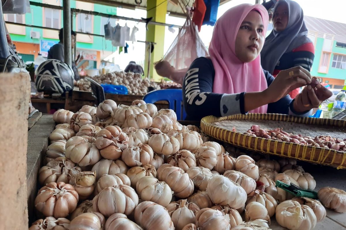 Harga bawang putih di Jambi masih tinggi